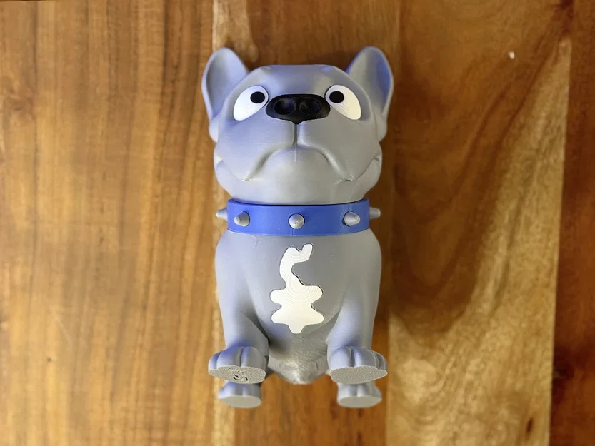 Carlo the Frenchie – Chú French Bulldog thân thiện - Image 4