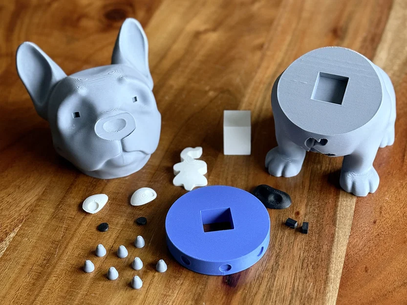 Carlo the Frenchie – Chú French Bulldog thân thiện - Image 5