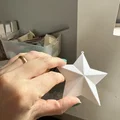Ngôi Sao Trang Trí (In Phẳng) – Ornament Star (Flat Print) - Thumbnail 3