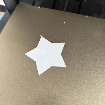 Ngôi Sao Trang Trí (In Phẳng) – Ornament Star (Flat Print)