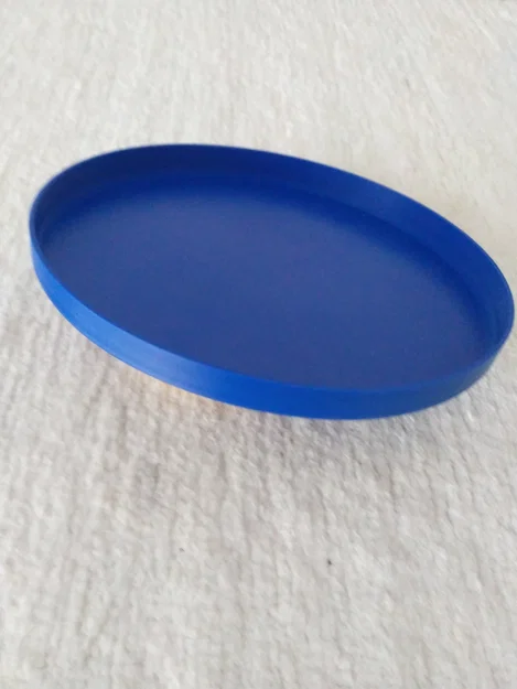 Mô hình đĩa bay Frisbee 210mm - Đồ chơi vận động cho bạn và thú cưng - Image 1