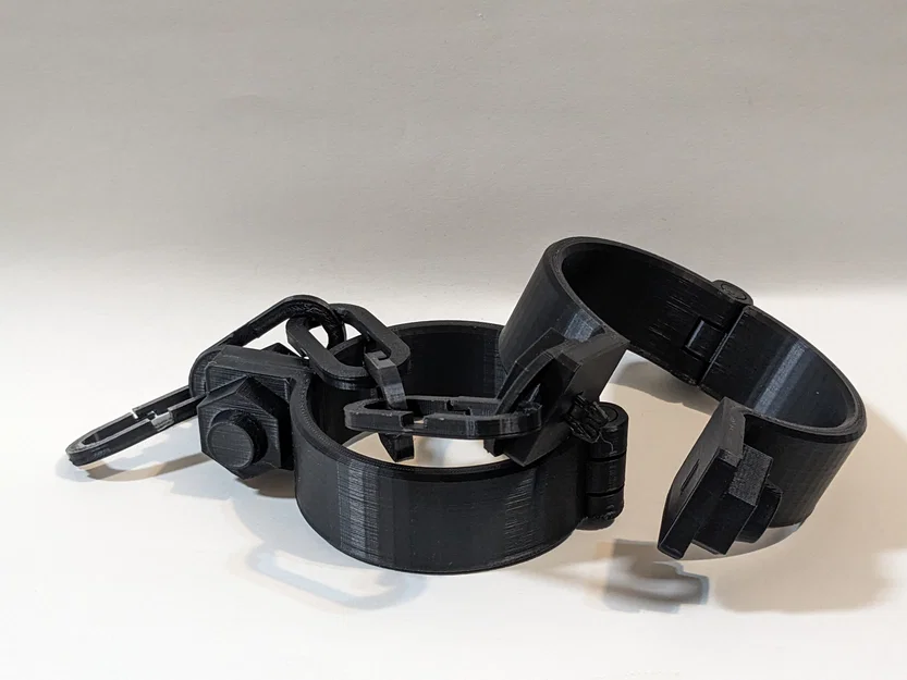 Còng Tay và Còng Chân (Manacles and Leg Irons) - Image 2