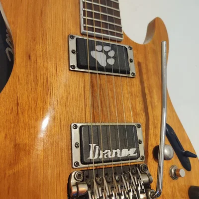 Nắp đậy Humbucker tùy chỉnh in 3D cho Guitar cá tính