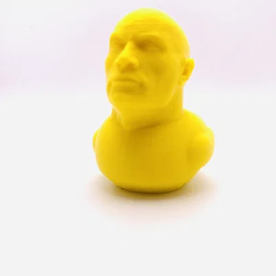 Mô hình chú vịt The Rock (The Original Rock Duck) in 3D độc đáo