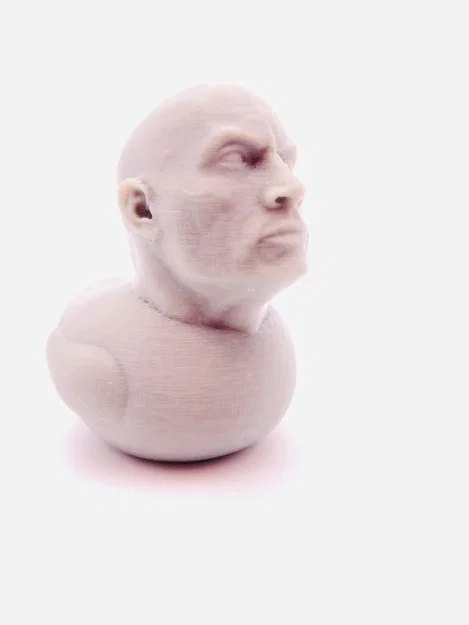 Mô hình chú vịt The Rock (The Original Rock Duck) in 3D độc đáo - Image 2