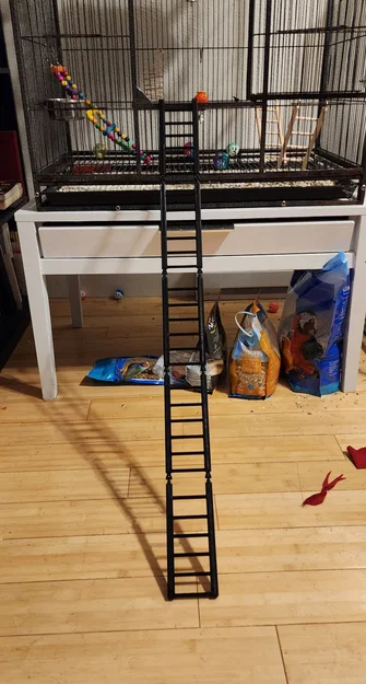 Thang/Cầu Modular cho Chim (Modular Bird Ladder / Bridge) - Image 1