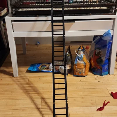 Thang/Cầu Modular cho Chim (Modular Bird Ladder / Bridge)