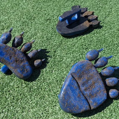 Dấu chân gấu (Bear Tracks) – In ra vết chân trông như thật