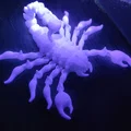 Venomous Horror - Bọ Cạp Khớp Nối (Articulated Scorpion) - Thumbnail 6