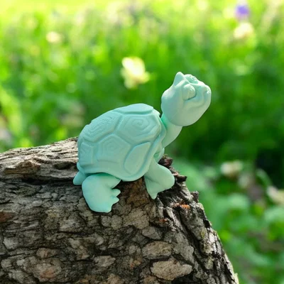 Rùa Già Vui Vẻ (Happy Old Turtle)