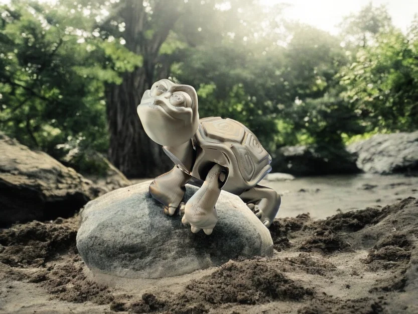 Rùa Già Vui Vẻ (Happy Old Turtle) - Image 2