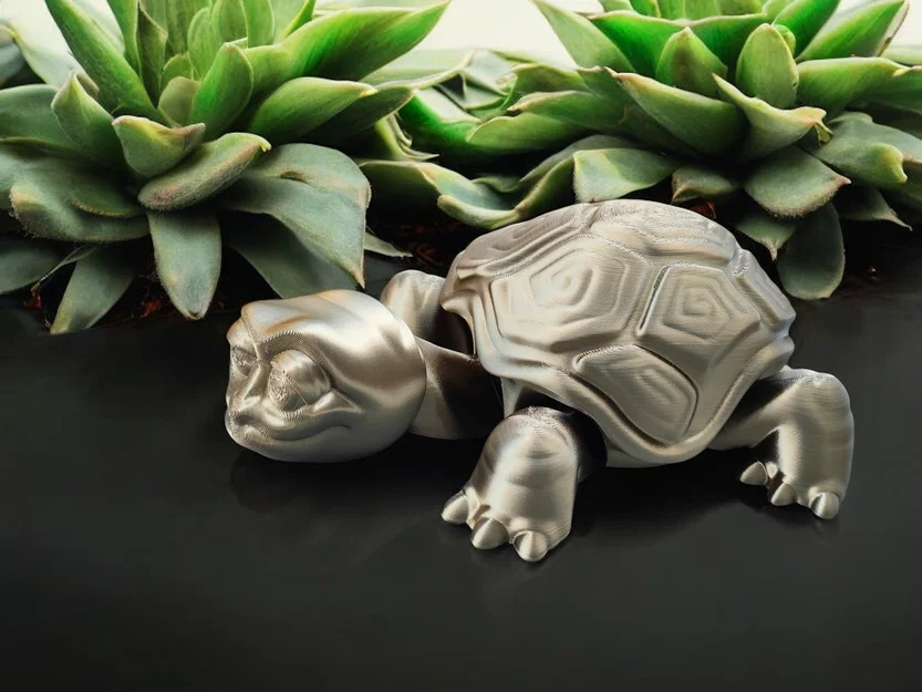 Rùa Già Vui Vẻ (Happy Old Turtle) - Image 3