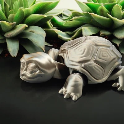 Rùa Già Vui Vẻ (Happy Old Turtle)