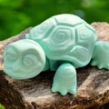Rùa Già Vui Vẻ (Happy Old Turtle) - Thumbnail 5