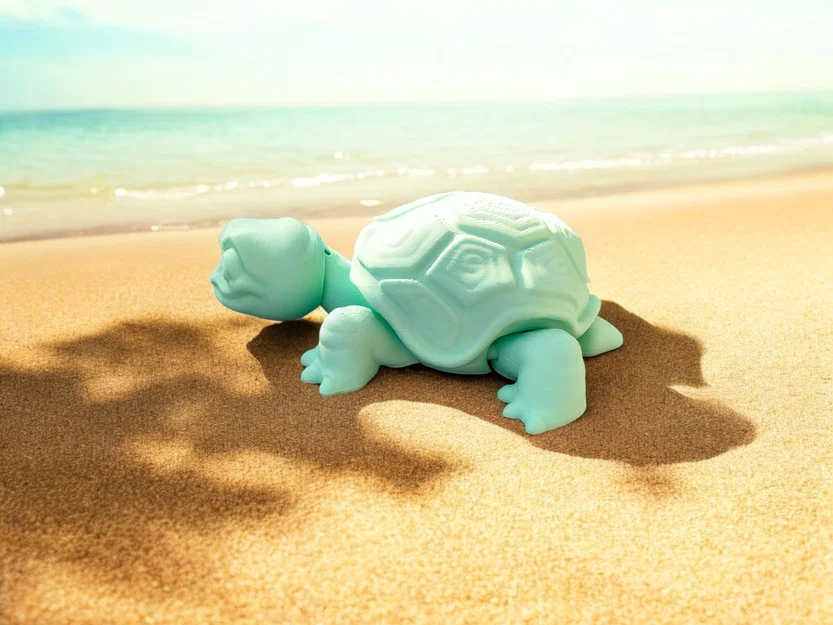 Rùa Già Vui Vẻ (Happy Old Turtle) - Image 6