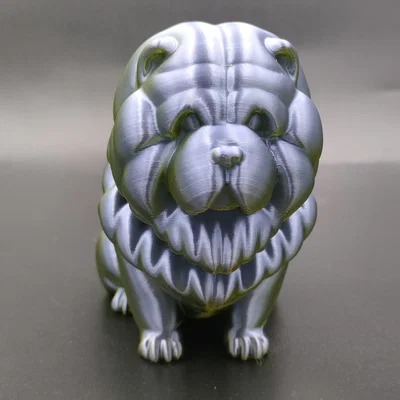 Bouncy Buddy: Chow Chow