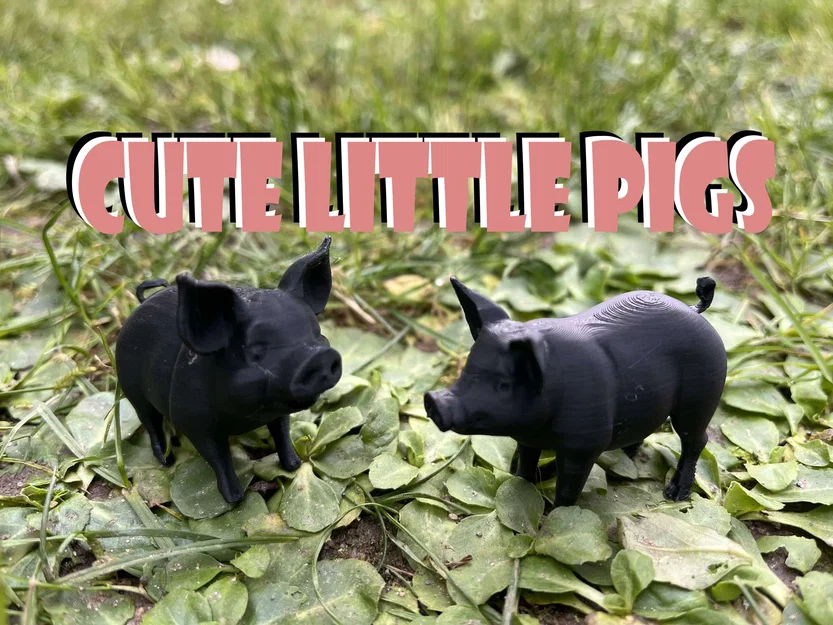 Roztomilá prasátka na farmu – Heo con dễ thương cho nông trại - Image 1