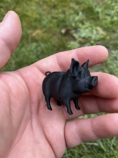 Roztomilá prasátka na farmu – Heo con dễ thương cho nông trại - Image 2