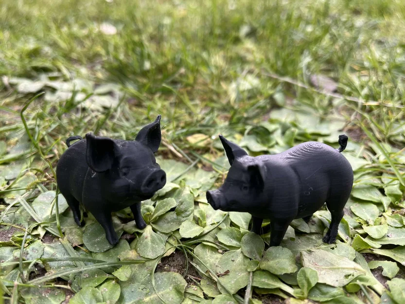 Roztomilá prasátka na farmu – Heo con dễ thương cho nông trại - Image 3