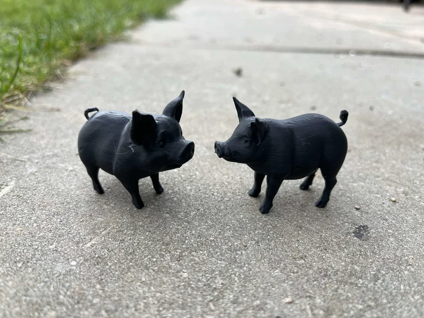 Roztomilá prasátka na farmu – Heo con dễ thương cho nông trại - Image 4