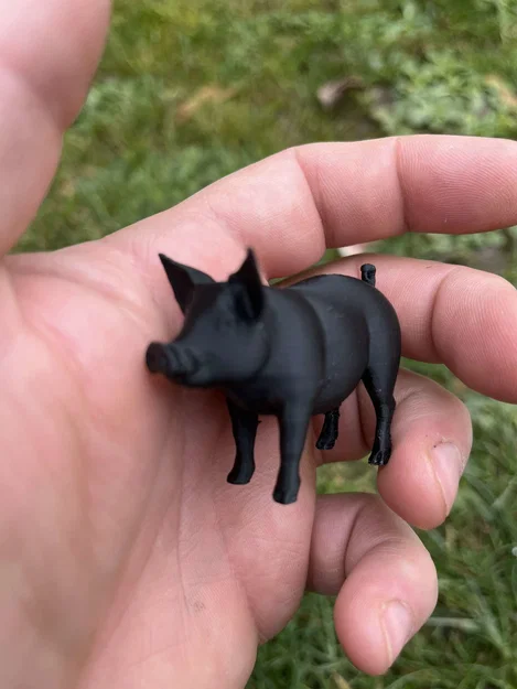 Roztomilá prasátka na farmu – Heo con dễ thương cho nông trại - Image 5