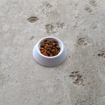 Chén mèo đơn giản (Simple cat bowl)
