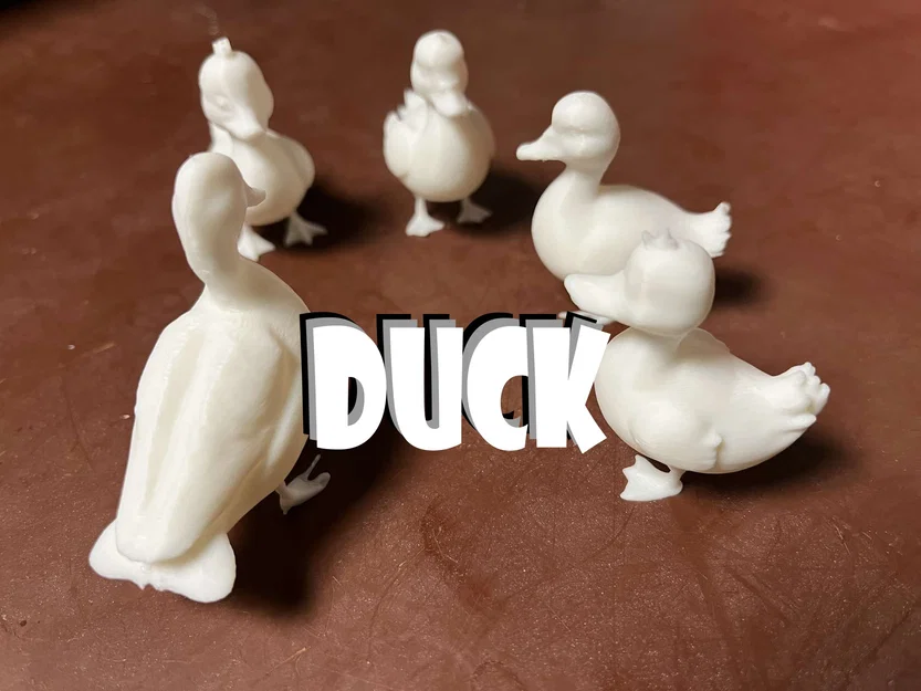 Kačenky a kačer (Vịt con và vịt trống) - Image 1