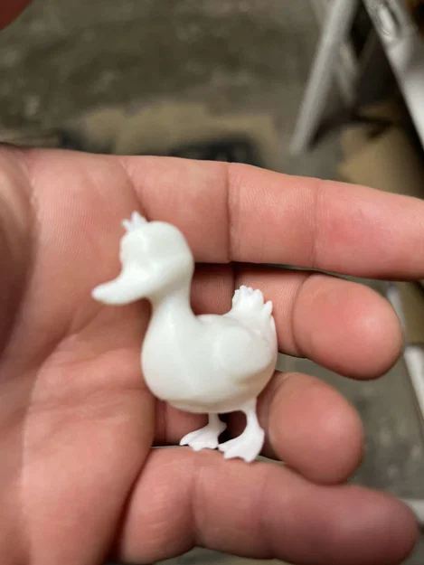 Kačenky a kačer (Vịt con và vịt trống) - Image 2