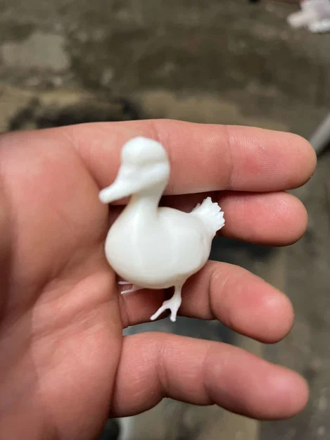 Kačenky a kačer (Vịt con và vịt trống) - Image 3