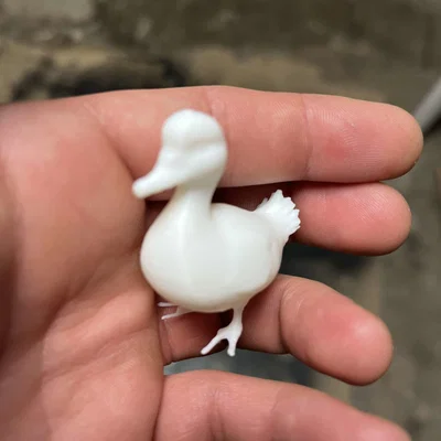 Kačenky a kačer (Vịt con và vịt trống)