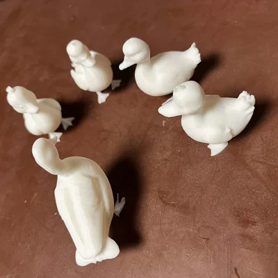 Kačenky a kačer (Vịt con và vịt trống)