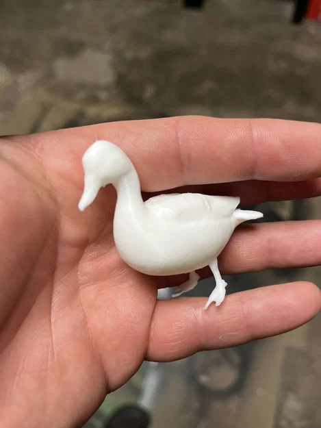 Kačenky a kačer (Vịt con và vịt trống) - Image 5