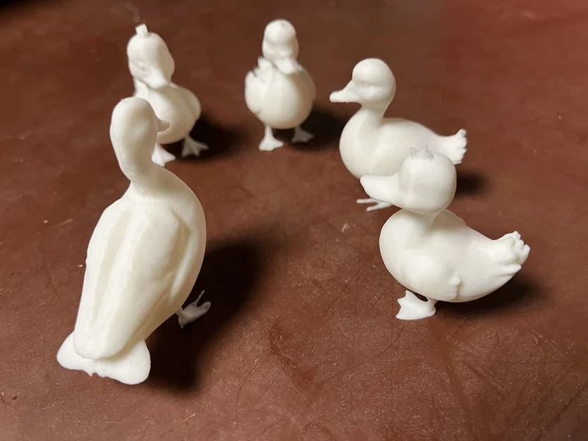 Kačenky a kačer (Vịt con và vịt trống) - Image 9