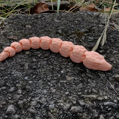 Mô hình rắn con linh hoạt (Baby articulated snake) in 3D độc đáo