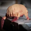 Half-Life Headcrab (Dẻo/Linh hoạt – Articulated) – Mô hình in 3D - Thumbnail 1