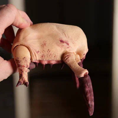 Half-Life Headcrab (Dẻo/Linh hoạt – Articulated) – Mô hình in 3D