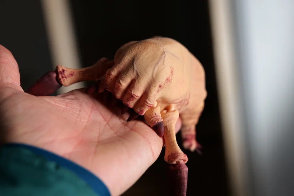 Half-Life Headcrab (Dẻo/Linh hoạt – Articulated) – Mô hình in 3D - Image 4