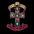Appetite for Destruction - Artwork bìa album Guns N' Roses (4 màu) - Thumbnail 3