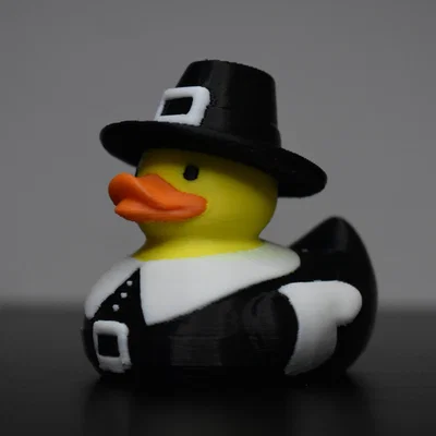 Vịt Pilgrim (Pilgrim Duck) – Mẫu in 3D 4 màu cho AMS/MMU/ACE Pro