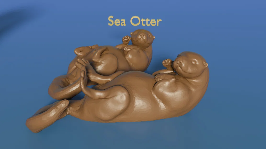 Rái cá biển nổi nằm ngửa (chân giơ lên hoặc thả xuống) - Image 1