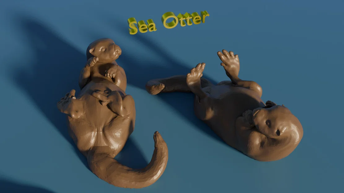 Rái cá biển nổi nằm ngửa (chân giơ lên hoặc thả xuống) - Image 2