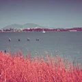 Tri-Aero Aerochrome Reto3D Filter V2 - Thumbnail 2