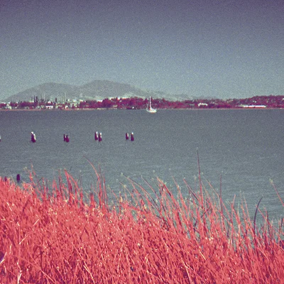 Tri-Aero Aerochrome Reto3D Filter V2