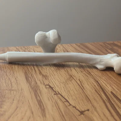 Bút Hidden Femur Pen – Xương đùi giấu bút bên trong