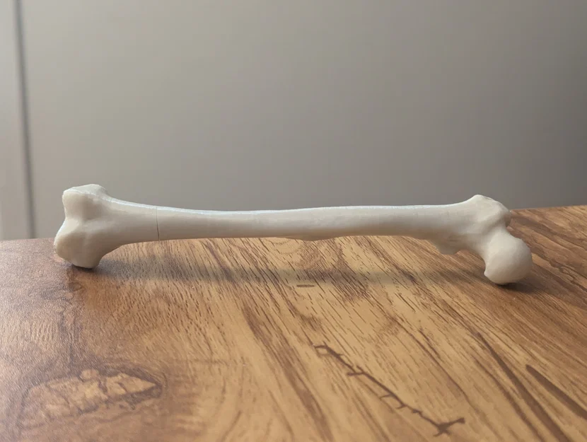 Bút Hidden Femur Pen – Xương đùi giấu bút bên trong - Image 4