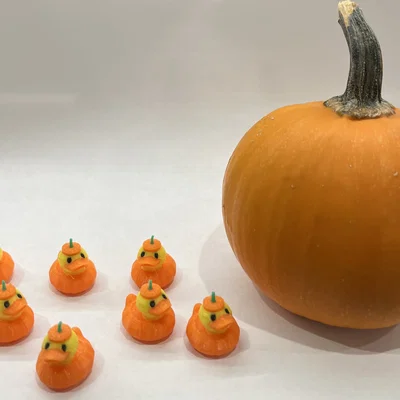 Pumpkin Duck – Vịt Bí Ngô