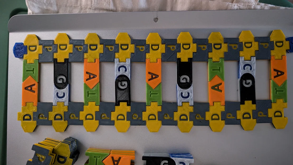 Bộ Tile Trưng Bày DNA / RNA - Image 1