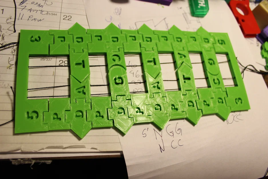 Bộ Tile Trưng Bày DNA / RNA - Image 2