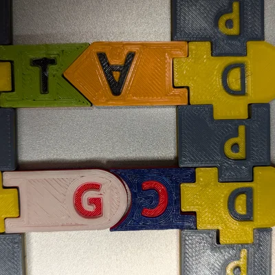 Bộ Tile Trưng Bày DNA / RNA