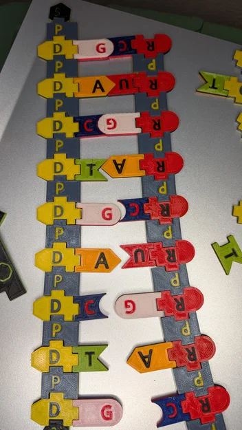 Bộ Tile Trưng Bày DNA / RNA - Image 4